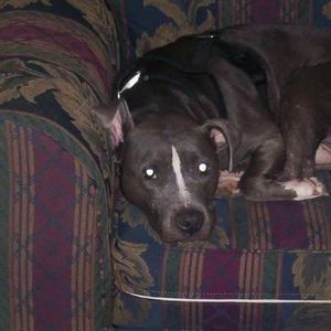 Meet your Posher, Raymond